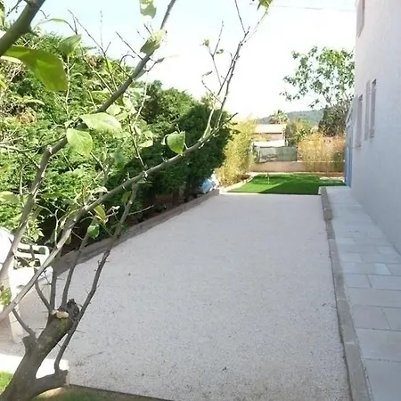 Les Cactus